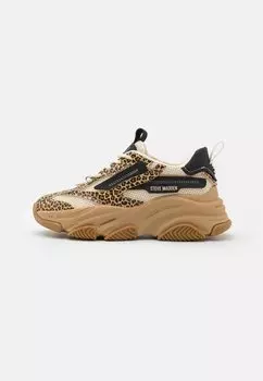 Низкие кроссовки Possession-E Steve Madden, черный