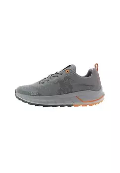 Низкие кроссовки Seth U.S. Polo Assn., цвет grigio
