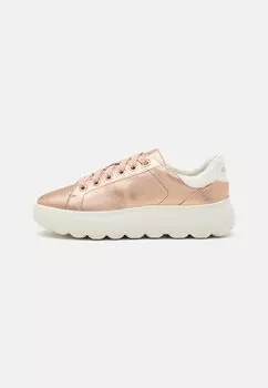 Низкие кроссовки Spherica Ec4.1 Geox, цвет rose gold/optic white