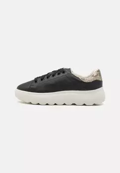 Низкие кроссовки Spherica Geox, цвет black/sand