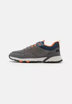 Низкие кроссовки Sterrato Geox, цвет grey