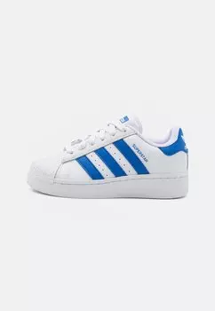 Низкие кроссовки SUPERSTAR XLG UNISEX adidas Originals, обувь белый/синий