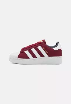 Низкие кроссовки SUPERSTAR XLG UNISEX adidas Originals, студенческий бордовый/обувь белая/коллежский темно-синий