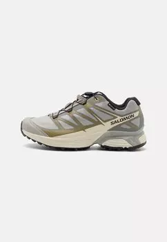 Низкие кроссовки Xt-Pathway Gtx Unisex Salomon, цвет ghost gray/almond milk/black