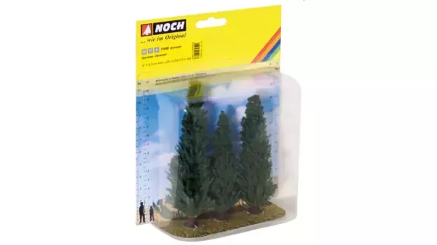 Noch Кипарисы