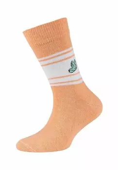 Носки 10Er Pack camano, сирень