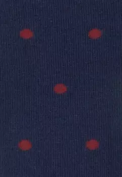 Носки 2ER SET SPARSE DillySocks, мультиколор