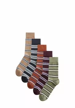Носки 5 PACK PATTERN - REGULAR FIT Next, зеленый