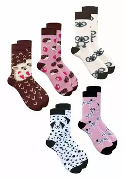 Носки 5PACK MISMATCHED07 Hese Sox, цвет multicolour