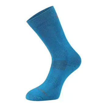 Носки Alpine Pro Erate, синий