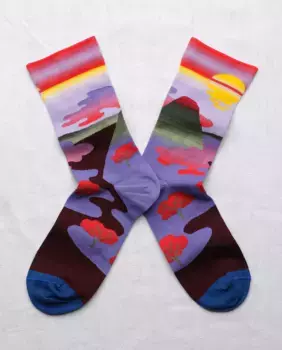 Носки Bonne Maison, многоцветный