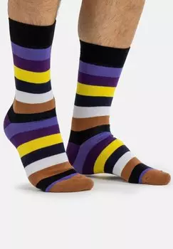 Носки BUNT 6 PACK Occulto, цвет strips