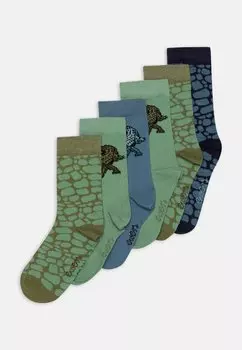 Носки CROCODILE 6 PACK Ewers, цвет blue/green