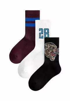 Носки CUSHIONED RICH 3 PACK REGULAR FIT Next, черный
