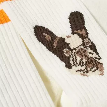 Носки для собак Rostersox