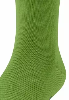 Носки FAMILY FALKE, зеленый