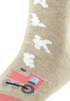 Носки HAPPY LOCOMOTIVE FALKE, песочный
