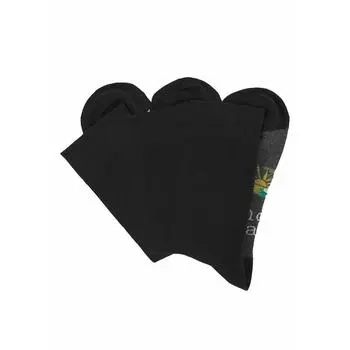 Носки HIS (3 пары) мужские H.I.S, цвет schwarz