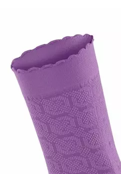 Носки HOARDING HONEY FALKE, фиолетовый