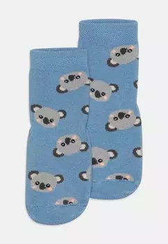 Носки HOMESOCKS SOFTSTEP KOALA BEAR UNISEX Ewers, цвет blue