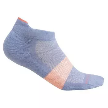 Носки Icebreaker Merino Multisport Light Micro, Разноцветный