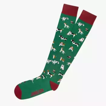 Носки Jimmy Lion Kh Dogs long, зеленый