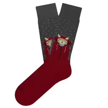 Носки Jimmy Lion Raining Cat crew, красный