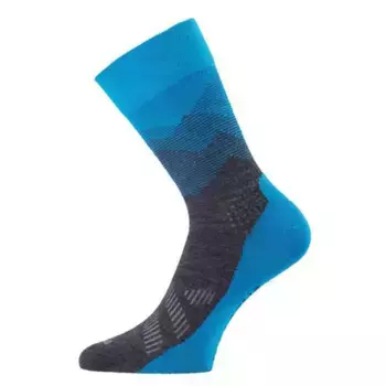 Носки Lasting FWR 585 long, разноцветный