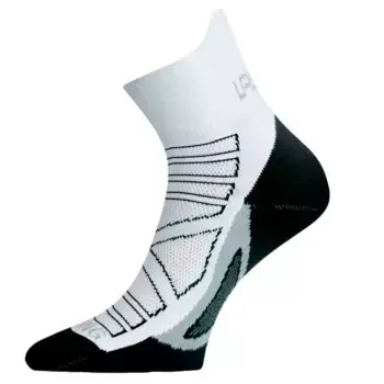 Носки Lasting RPC 098, разноцветный