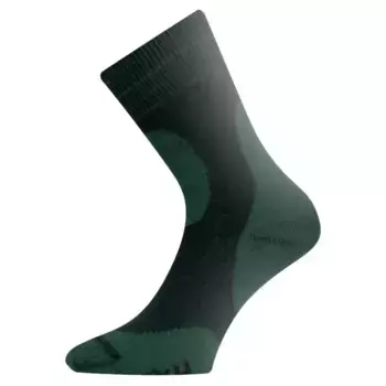Носки Lasting TKH 620 long, зеленый