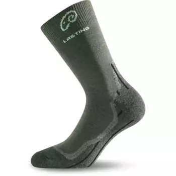 Носки Lasting Whi long, зеленый