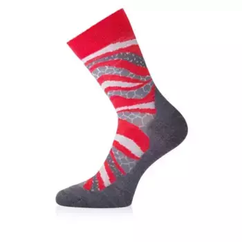 Носки Lasting WLF 338, разноцветный