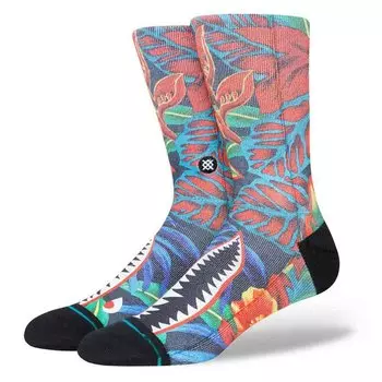 Носки Stance Bomin, разноцветный