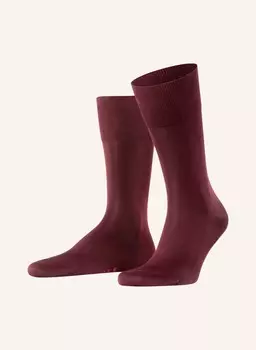 Носки тиаго FALKE, цвет 8596 BAROLO