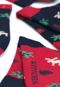 Носки WITTCHEN, мультиколор