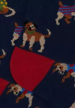 Носки выше колена WITH DOG MOTIF Gallo, синий