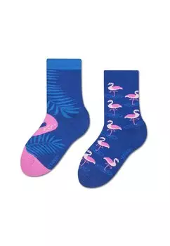 Носки Zooksy, синий