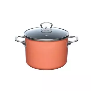 NOUVELLE PUR Кастрюля для мяса со стеклянной крышкой 4 л оранжевый Riess