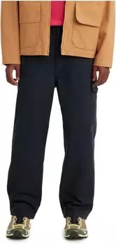 Новые функциональные брюки Skate Levi's, цвет Anthracite Night