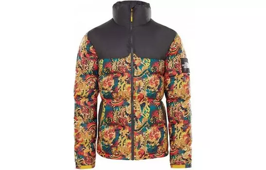 Nuptse пуховик мужской многоцветный The North Face, цвет Multicolor