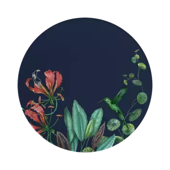 Обеденная тарелка Аваруа Villeroy & Boch Signature, мультиколор