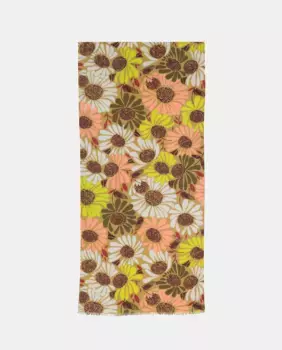 Обертывание цветами Fraas, цвет Marrn claro