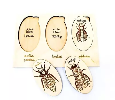 Обитатели улья, виды пчел, деревянный пазл с надписями. Inna marka