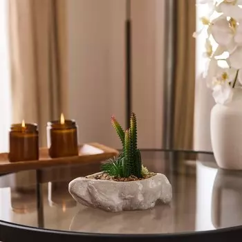 Objevi Бетонный асимметричный искусственный кактус в горшке - Серый - 16x6x19 см