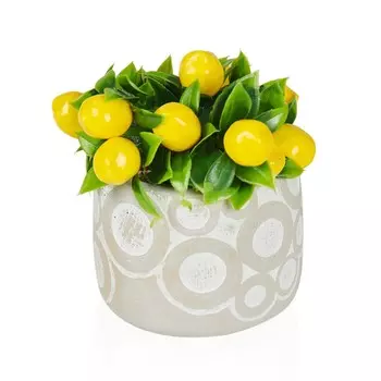 Objevi Искусственный лимон в горшке