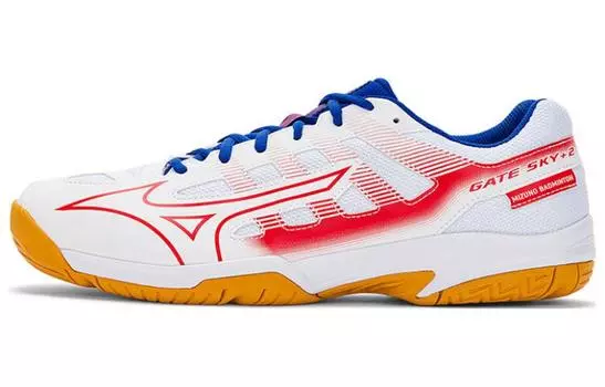 Обувь для бадминтона Mizuno Gate Sky унисекс