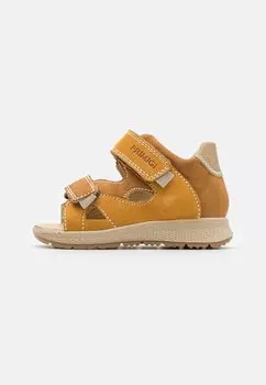 Обувь для обучения UNISEX Primigi, цвет senape/cuoio