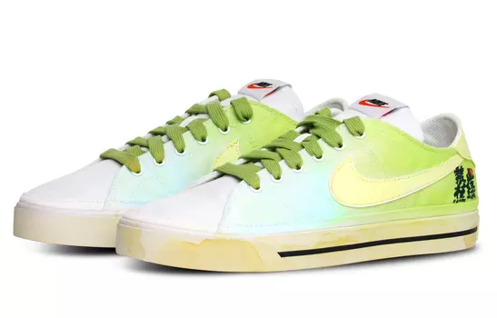 Обувь для скейтбординга Nike Court Legacy унисекс