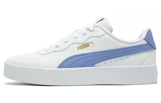 Обувь для скейтбординга Puma Skye унисекс, White/Blue