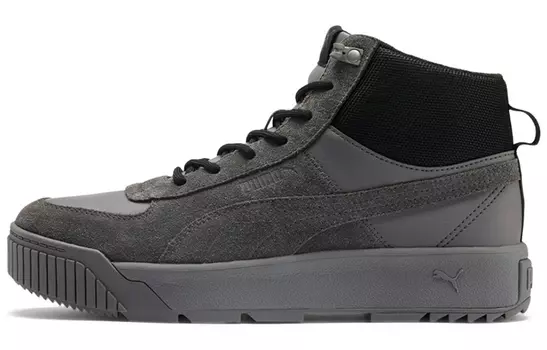 Обувь для скейтбординга Puma Tarrenz SB Мужской